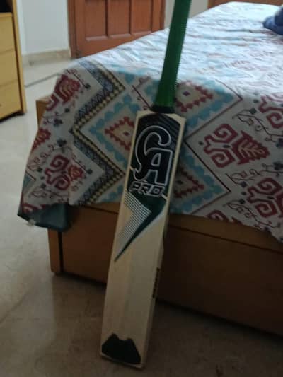 CA Pro Everest 1.1 Cricket Bat