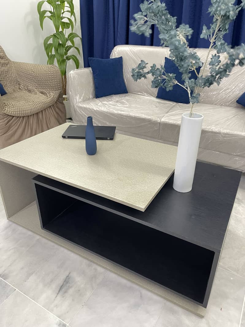 Center Table/Coffee Table 1