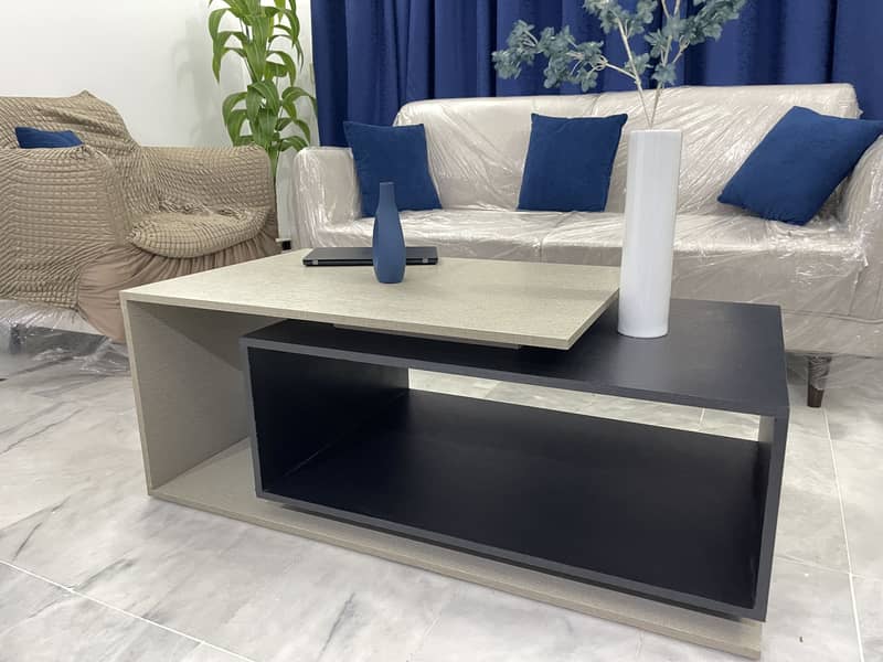 Center Table/Coffee Table 2