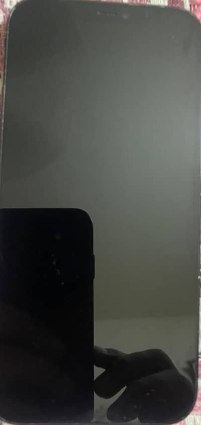 12 pro max pta approved 256 gb