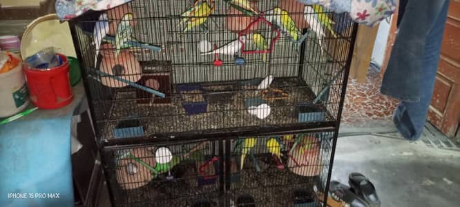 best selling parrot cage