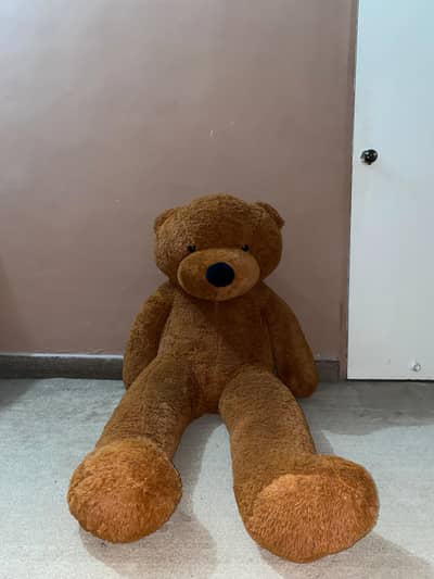 Cute 5ft teddy