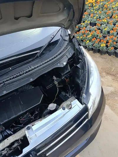 interested people only contact with me