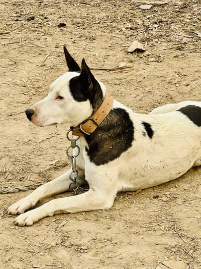 Healthy and weltraind