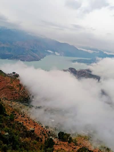 Female Assistnd Requaird