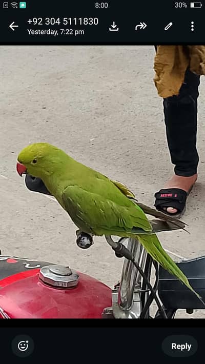 urgent sale 03221510915 call