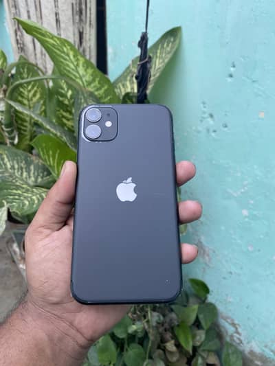 Iphone 11 pta approved