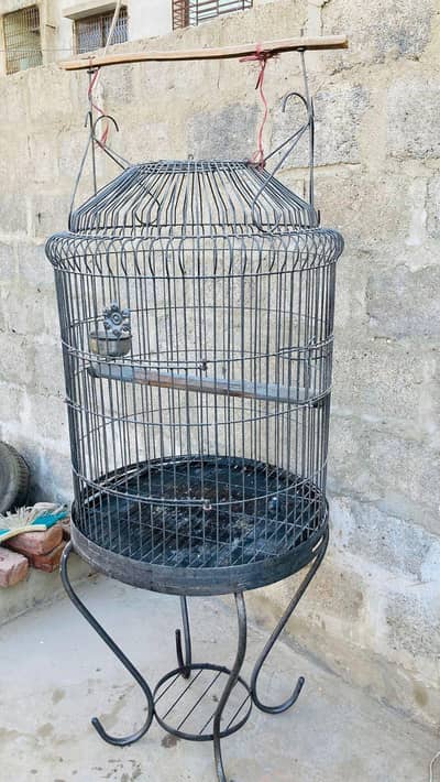 gray parrot heavy cage