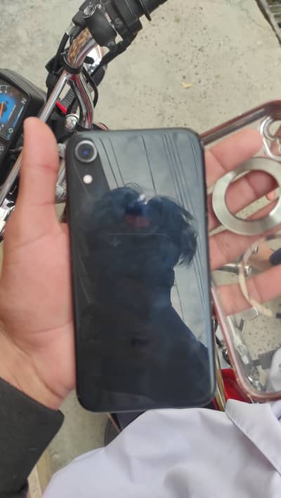 Iphone xr non pta not jv