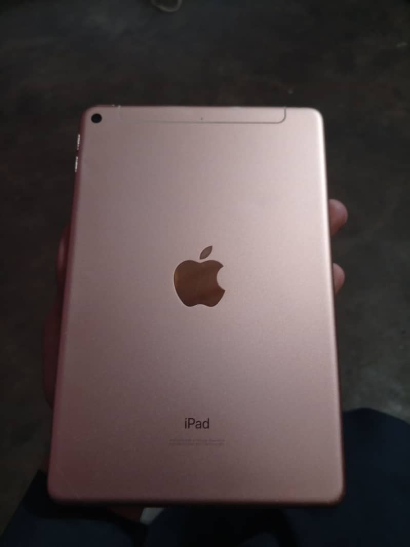 iPad mini 5 6