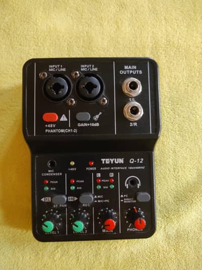 Teyun Q12 Audio Interface for Sale (Read AD)