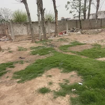 FARM FOR RENT CATTLE GOAT PET GREEN BIRDS FARMING