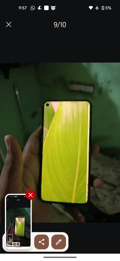 Magburi  h sell karna per Raha h