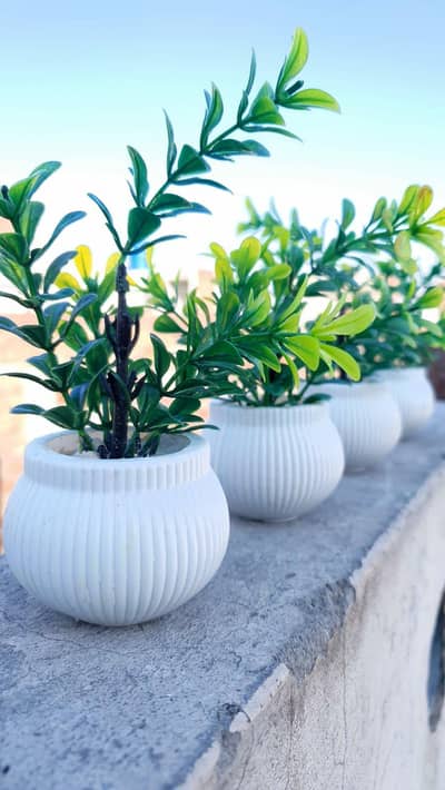Artificial Mini Plants  for Home & Office Decor