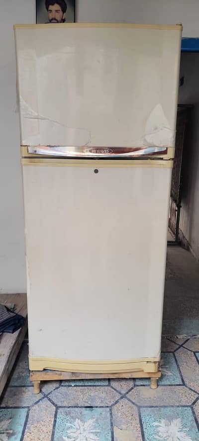Waves Jumbo size fridge