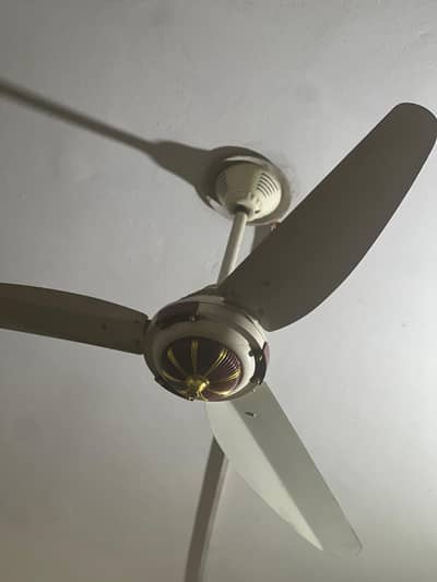 G 10 Classic Model AC / DC Fan