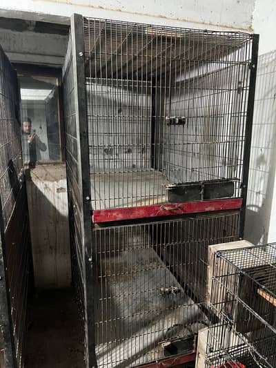 Cage  double potion 10 no wire folding