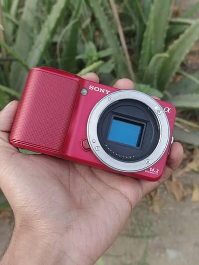 Sony Alpha NEX 3 Mirror Less Exchange possible
