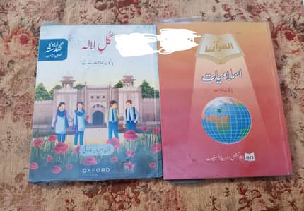 class 5 new 4 months used covered name is hide