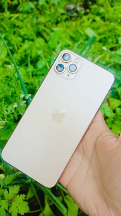 Iphone 11  Pro Max