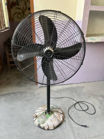Four star best quality fan