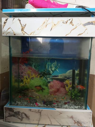 fish tank with 4 fish + water pump+ heater