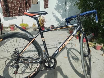 phoenix sports cycle