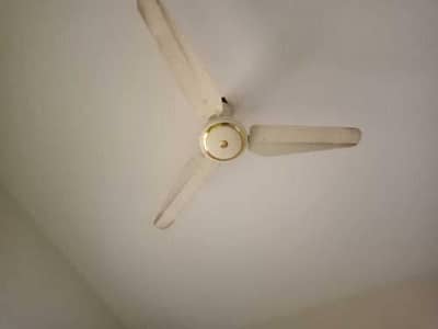 4 celing fan pure coopers 