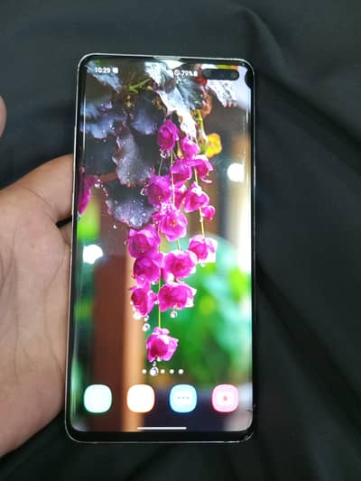 sumsing S10 5G . . . . . 8+ 256