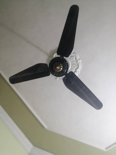 Decent Colour Quality fan