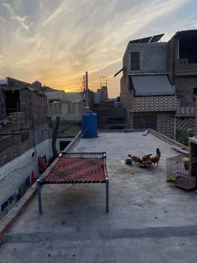 ando wali 3 murgiyan 1 murga contect 03364955512