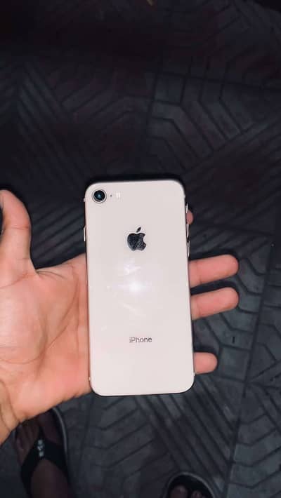 I phone 8 pta Approved