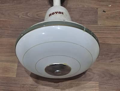 Royal fan 56" Pure copper ,