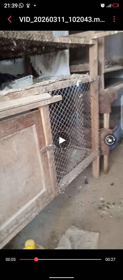 wooden cages for sale