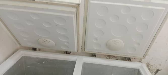 Hair full size freezer & fresh food