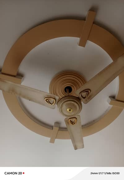 ceiling fan for sale