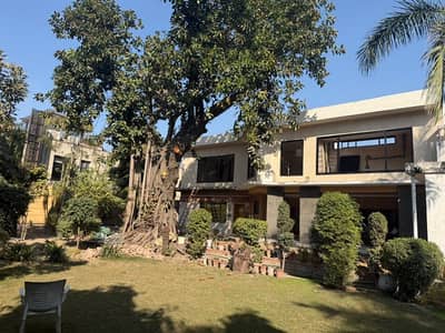 Luxury Bungalows Ground Floor Available For Rent