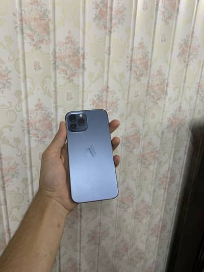 Iphone 12 pro max  pta approved