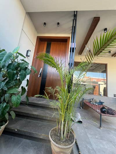 LUXURY BUNGALOW FOR SALE - EXCLUSIVE OPPORTUNITY! _  300 SQUARE YARDS INDEPENDENT BUNGALOW_