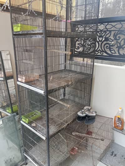 parrots cage for sale