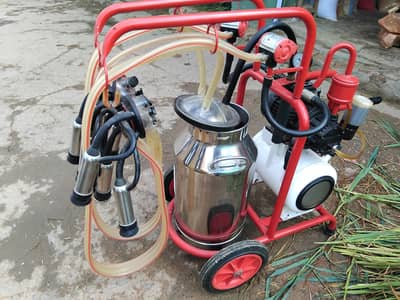 malik masheen 03135093341 whtasup number