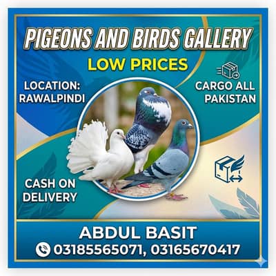 cash on delivery Available All Pakistan