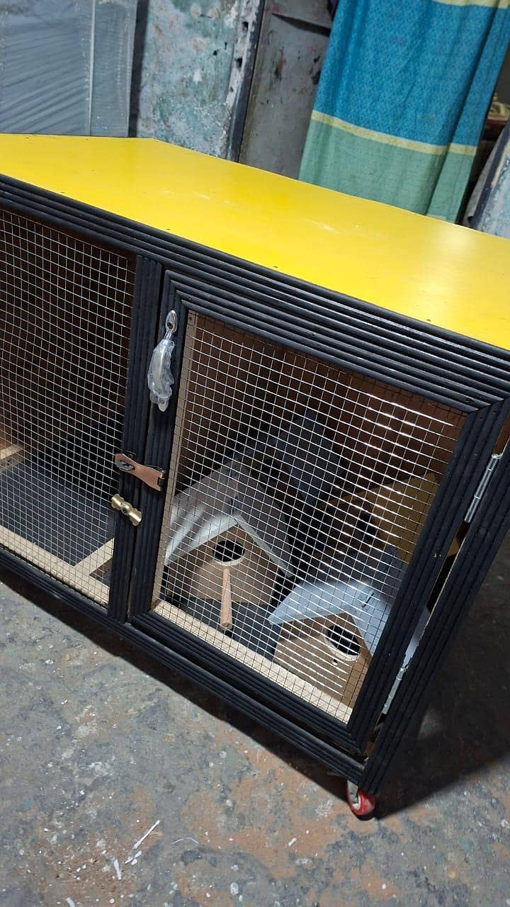 cat cage 0