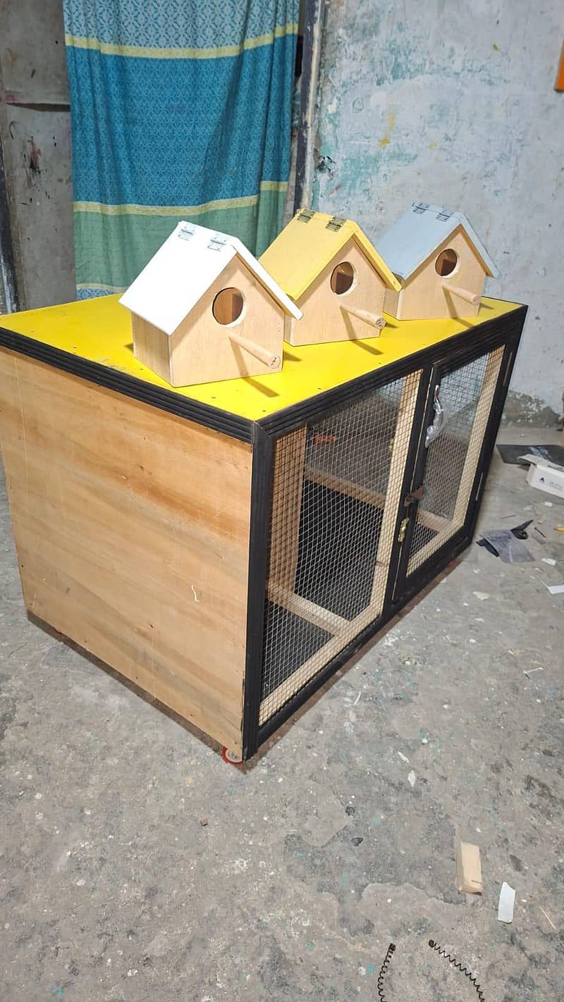 cat cage 1