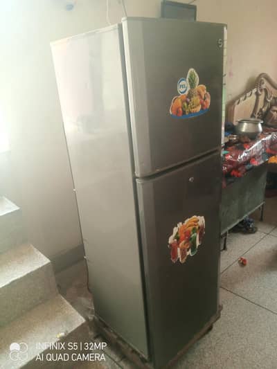 pel ka fredg bilkul saf halat man koi masla ni hy  03242060260