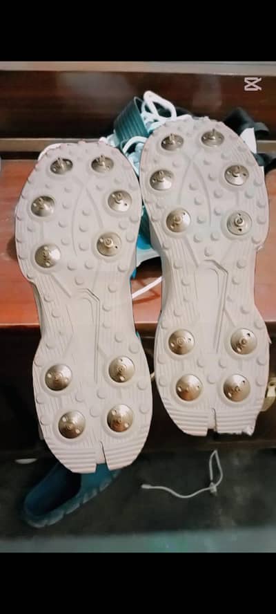 Griper Spikes(CA) Big Bang Max Size uk9