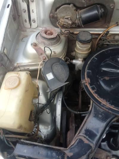 family uz 03317628233 03036323364 watsup