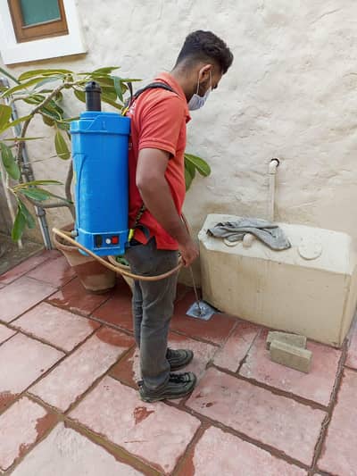 pest control services