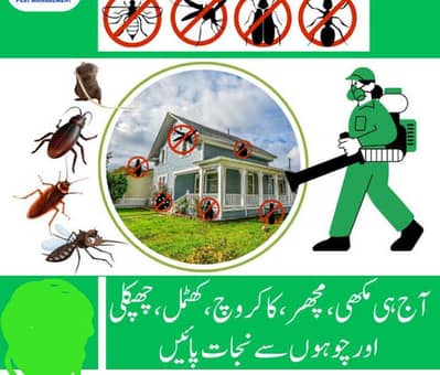 pest control services