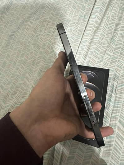 Apple iPhone 12 Pro Max